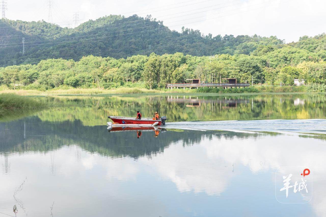 日在深圳市, entit, 动员